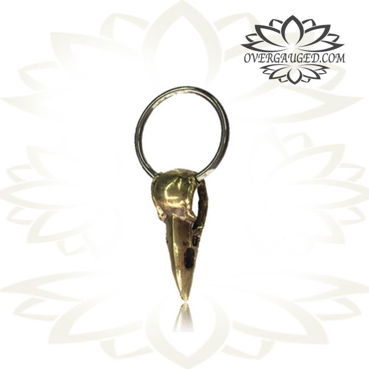 CBR Pair of Brass Earrings in Steampunk Style, Brass Bird Skull with 316L Steel BCR, Brass Body Jewelry.
