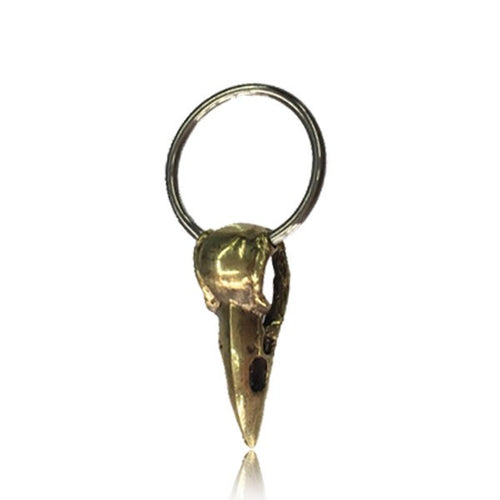 CBR Pair of Brass Earrings in Steampunk Style, Brass Bird Skull with 316L Steel BCR, Brass Body Jewelry.