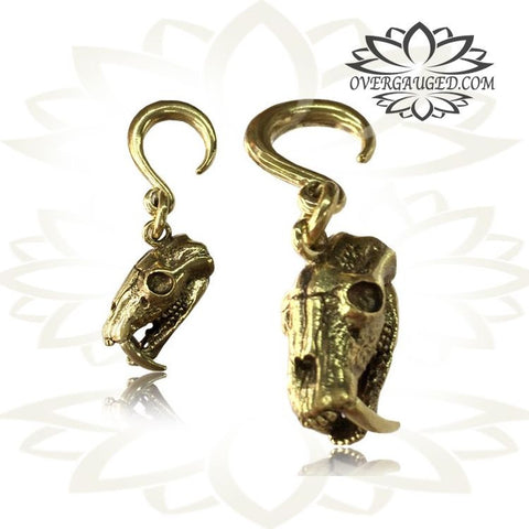 6g (4mm) Piercing Brass Bear Skull Earrings Tribal Animal Skulls Earrings, Brass Body Jewelry.
