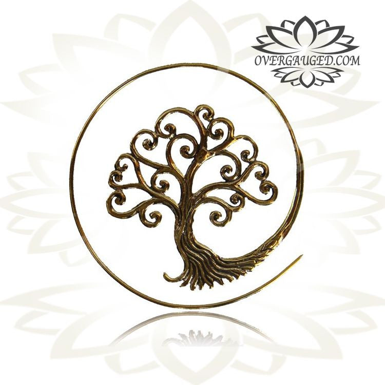 Pair of Brass Earrings Antiqued Tree of Life Spirals, Large Brass Hoops.