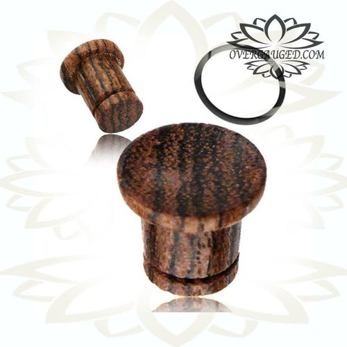 Pair of Concave Organic Exotic Bocote Wood Plugs, Single Flare Ear Tunnels Plug.