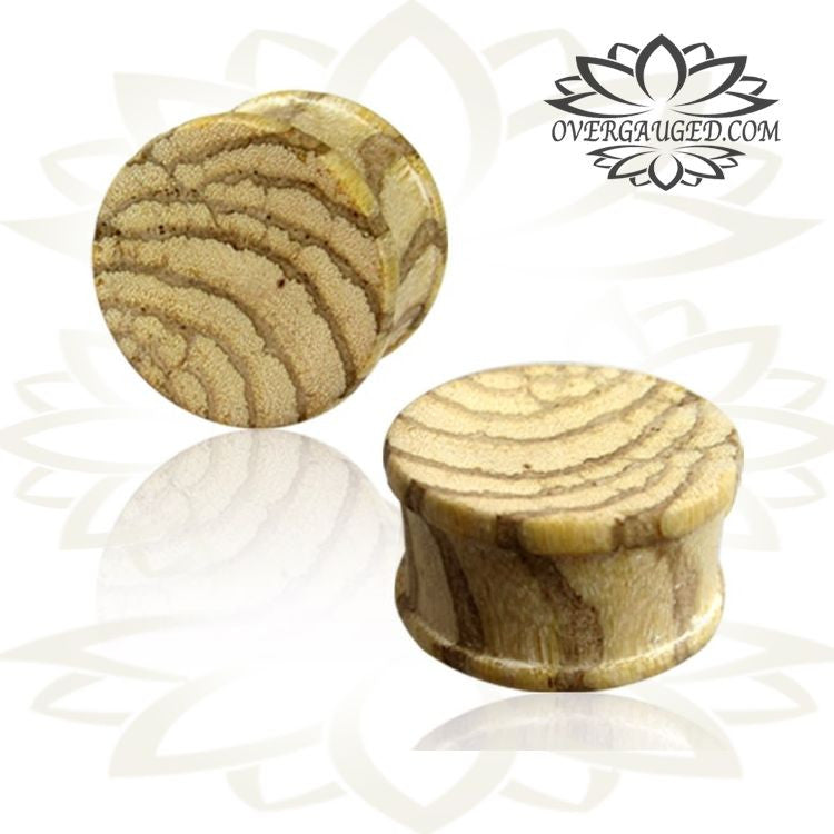 Pair of Concave Organic Light Zebra Wood Plugs, Double Flare Wood Plugs, Organic Ear Plugs, Wood Tunnels, Wood Body Jewelry.