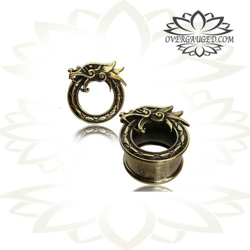 Pair of Antiqued Brass Plugs, Dragon Brass Tunnels, Double Flared Brass Plugs, Tribal Brass Earrings, Tribal Body Jewelry.
