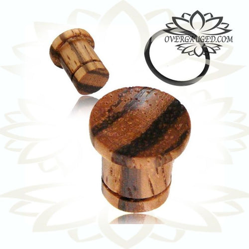 Pair of Concave Organic African Zebra Wood Plugs Single Flare Wood Ear Tunnels.