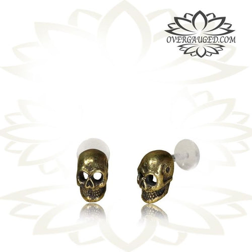 Single 16g Brass Skull Labret, 16g Tragus Earring, Antiqued Tribal Brass Helix, Ear Stud, Nose Stud, Madonna Lip Piercing, Safe Bio PlastiK Stud.