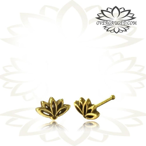 Single Brass Tribal Nose Stud Lotus Bloom 20g (.8mm) Nose Bone Nose Pin.