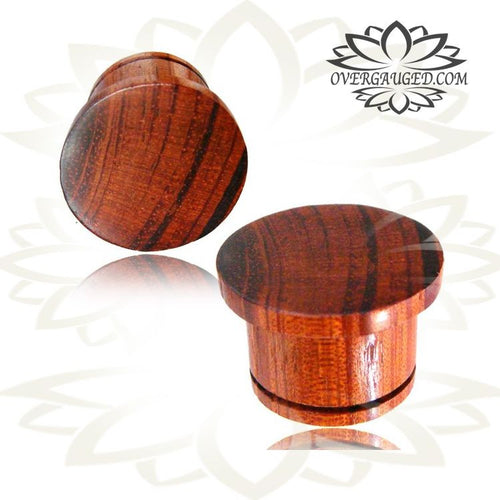 Pair of Top Hat Wood Plugs, Organic Blood Wood Plugs, Flat Top Single Flare Gauges, Single Flare Plugs, Wood Ear Tunnels.