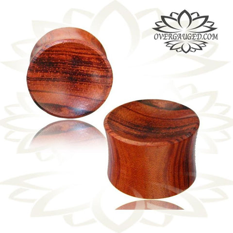 Pair of Concave Ebony Wood Plugs, Wood Tunnels Carved Rings, Organic Body Jewelry, Double Flared Tunnels.