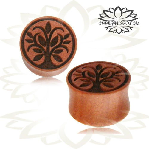 Pair of Organic Wood Gauge Plugs, Organic Wood Earrings, Wood Plugs, Sawo Wood Engraved Tree of Life Wood Plugs, Organic Body Jewelry.