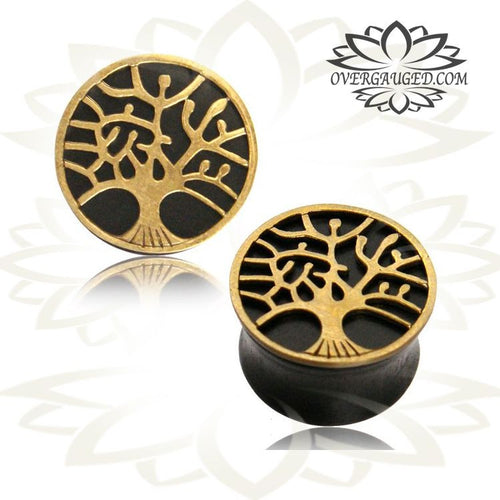 Pair of Organic Ebony Wood Plugs, Brass Tree Of Life Topper, Double Flared Wood Ear Plugs, Wood Plugs, Organic Wood Body Jewelry.